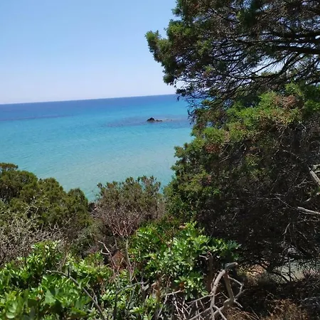 Albeldi' Domus De Maria