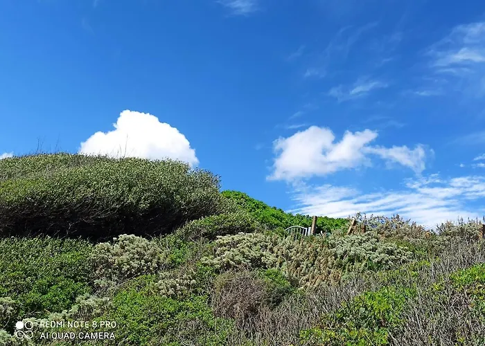 Albeldi' 4* Domus de Maria