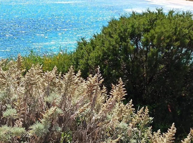 Vendégház Albeldi'