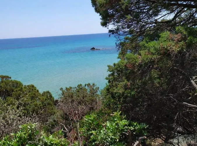 Albeldi' Domus de Maria